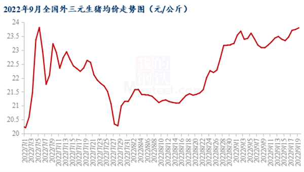 中国养猪网