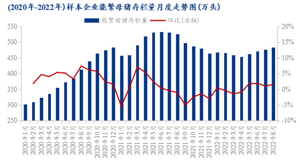 中国养猪网