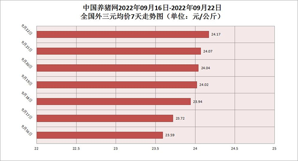 中国养猪网