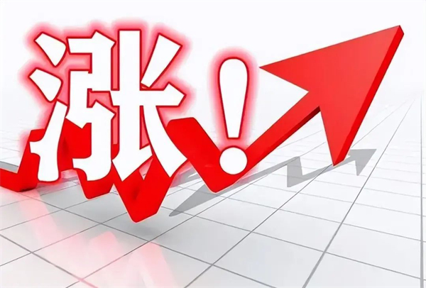 中国养猪网