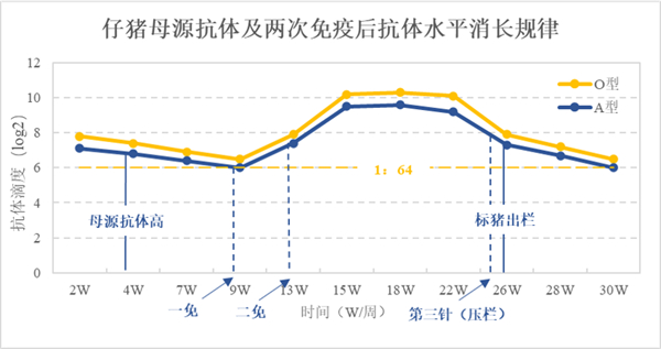 中国养猪网