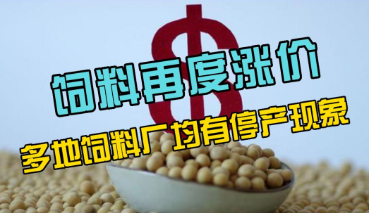 油厂断豆，再涨300！各地部分饲料厂全线停产！