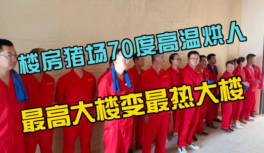 楼房猪场70°C烘人防非！对人很危险，对病毒几乎无效？