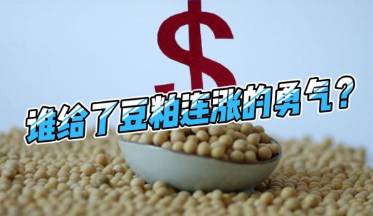 “减量替代”官方出手，谁给了豆粕连涨的底气？