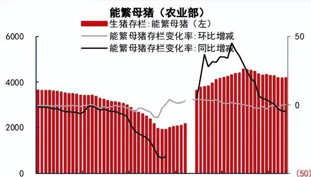 中国养猪网