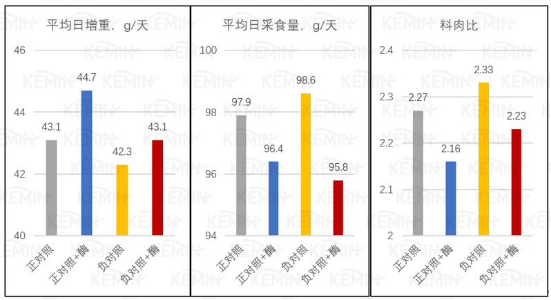 中国养猪网