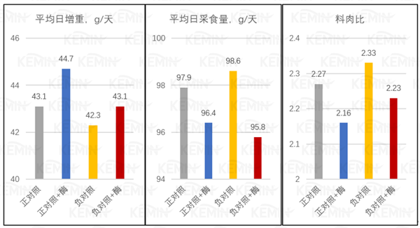 中国养猪网