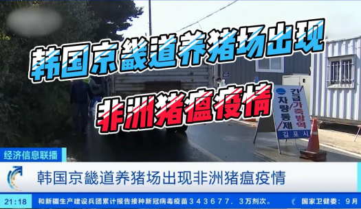韩国京畿道养猪场出现非瘟，该地生猪存栏量占韩国的两成！