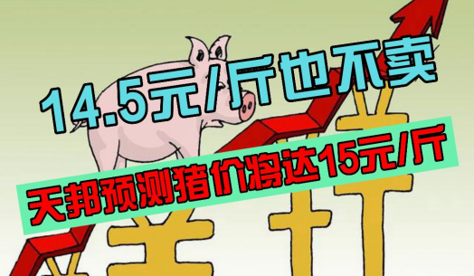 14.5元/斤也不卖！天邦预测猪价摸顶15元/斤！