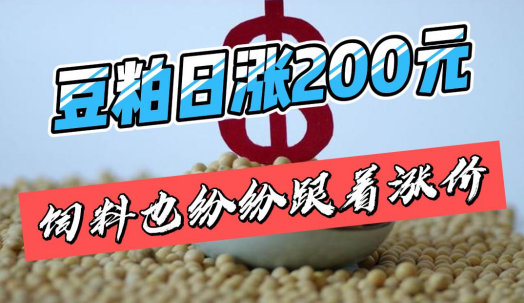 豆粕日涨200元！饲料也随之涨价！“断崖式”降温促使养户备货！