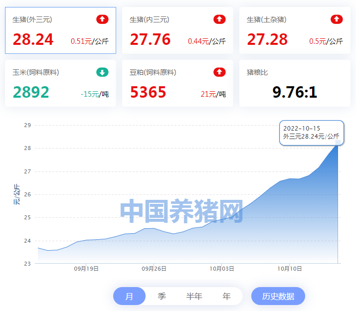 中国养猪网