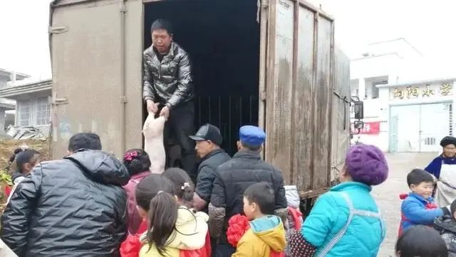云南一小学20名优秀生获赠小猪，后续来了：被饲养9个月后卖了4000多元