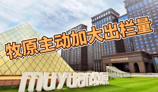 牧原股份：主动加大出栏量，积极配合保供稳价工作！