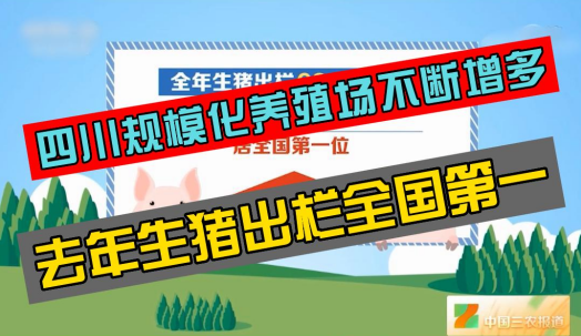 四川：规模化养殖比重提升，保障生猪稳定供给！中小散占比降低！