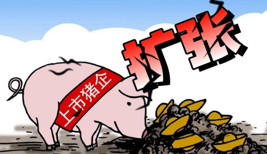 猪价上涨，猪企现金流改善！巨头借助资本加快扩张！