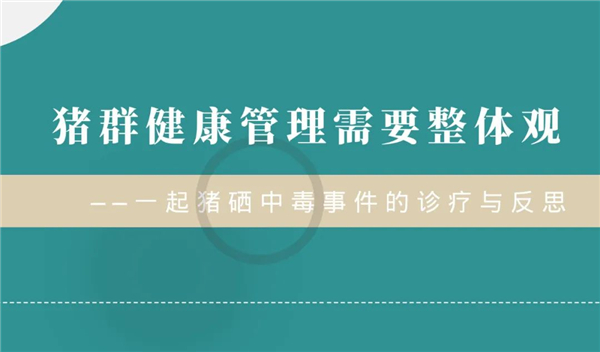 猪群健康管理需要整体观——一起猪硒中毒事件的诊疗与反思