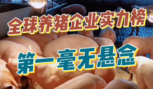 2022全球养猪企业实力榜公布，排名第一的毫无悬念！