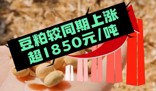 油厂压榨利超400元/吨，后续大量大豆到港豆粕价或回归合理价位！