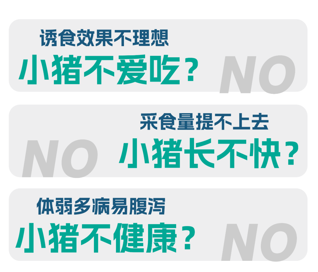 爱吃、快长、更健康！小猪梦中情“饲”——嘉吉1号创新教槽料正式登陆！