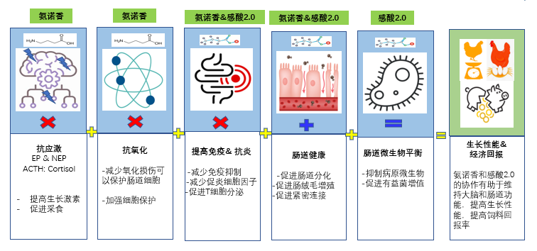 中国养猪网