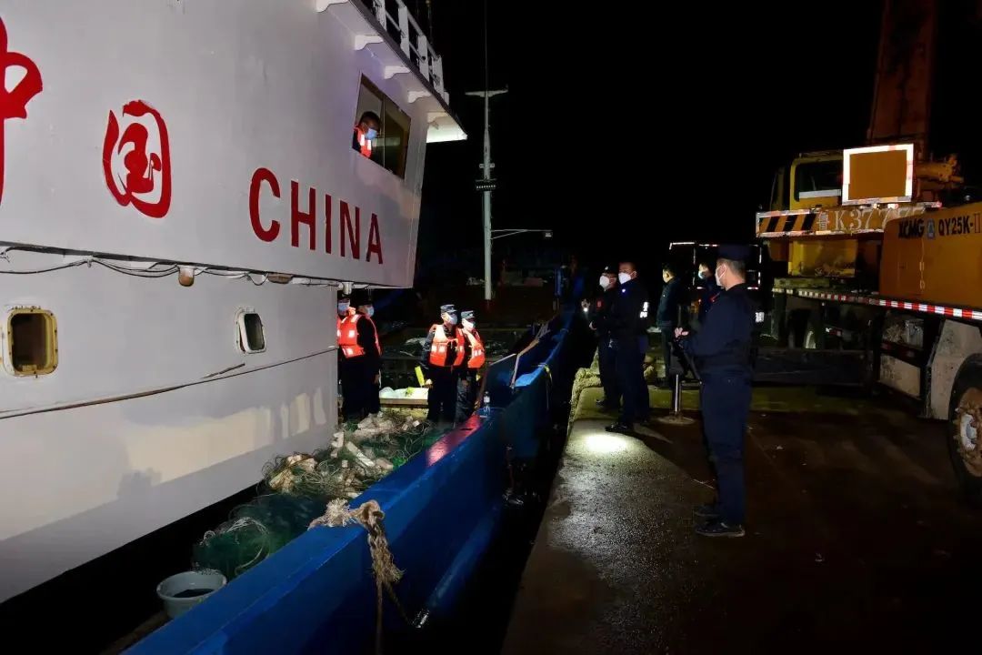 可怕！100余吨走私肉差点流入市场！海警成功打掉两个犯罪团伙