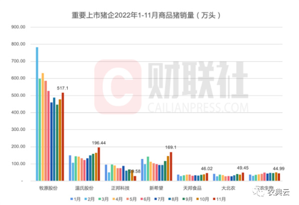 中国养猪网