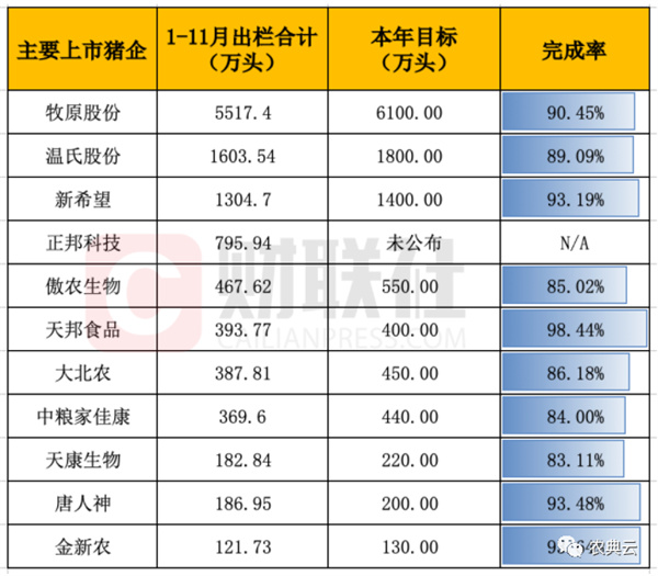 中国养猪网