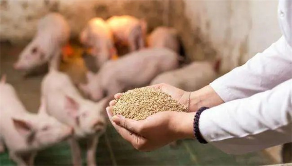 猪价大跌深层原因有4个，养猪人了解行情不吃亏