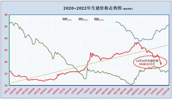 中国养猪网