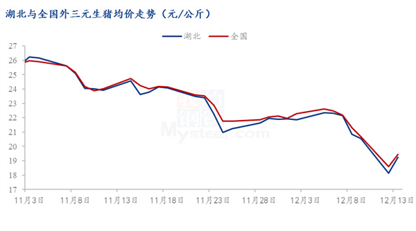 中国养猪网