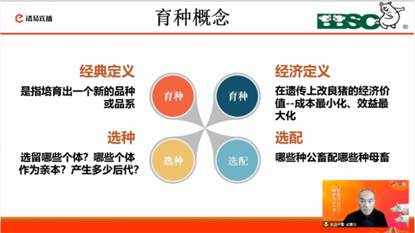 中国养猪网