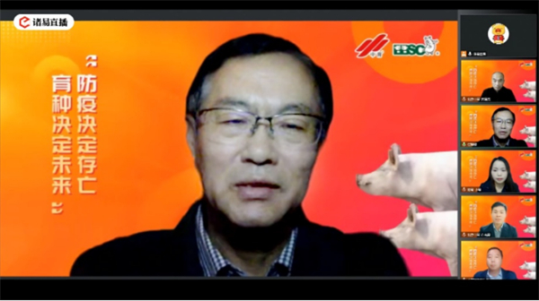 中国养猪网