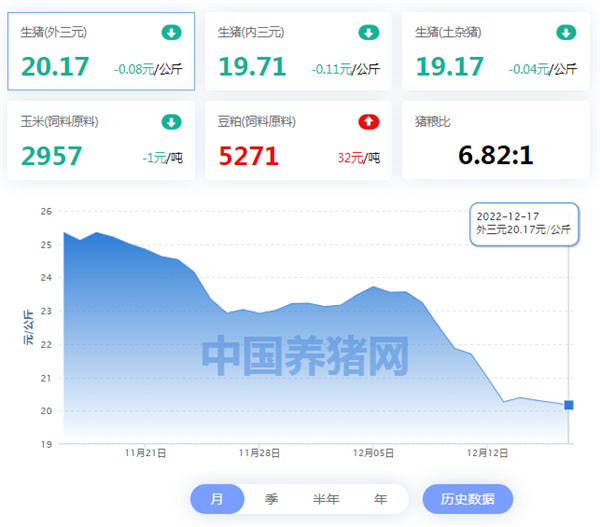 中国养猪网