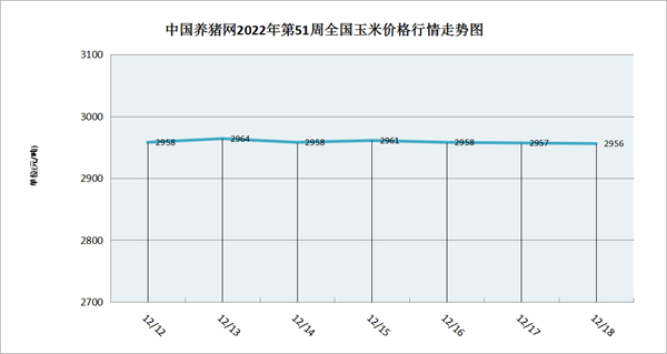 中国养猪网