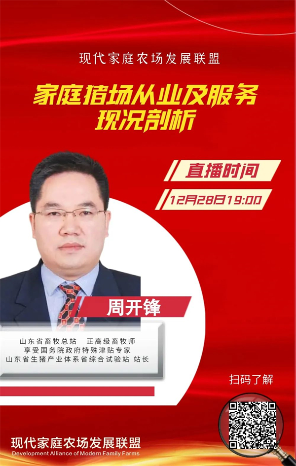 中国养猪网