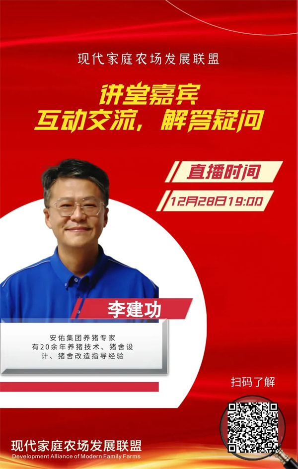 中国养猪网