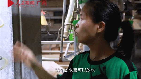 中国养猪网