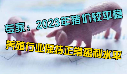 2023年猪价是否有惊喜？三大方面判断行情走向！