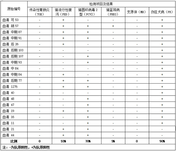 中国养猪网