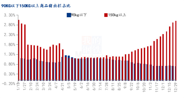 中国养猪网