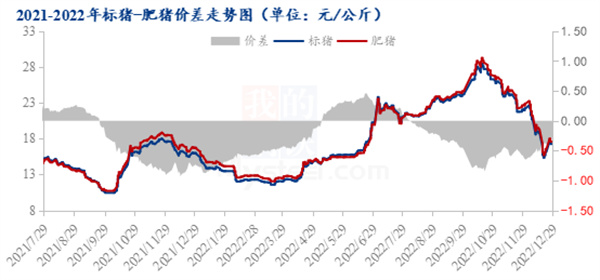 中国养猪网