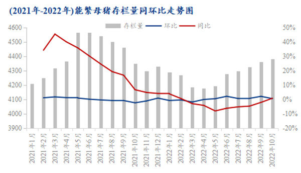 中国养猪网