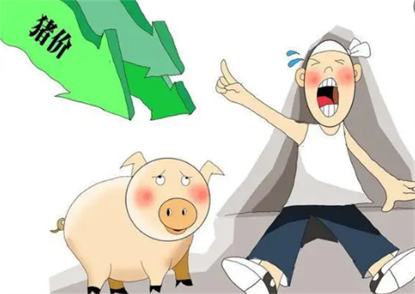 元旦刚过，猪价陡然“变了天”，此轮猪价下跌或成为春节前最后一轮跌势？