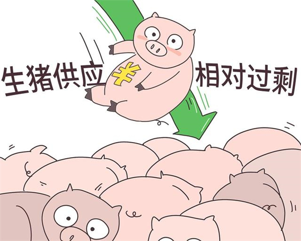 绿的发慌！1月4日猪价持续下行，多地猪价陆续进入7元区间