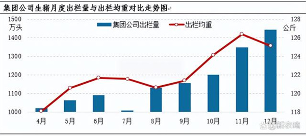 中国养猪网