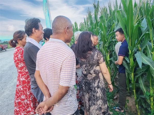 张坤跟农民讲解玉米种植知识