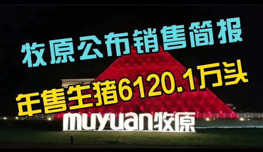 牧原：2022年共销售生猪6120.1万头，能繁母猪存栏281.5万头！