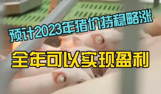 朱增勇：预计2023年猪价持稳略涨，全年可以实现盈利！