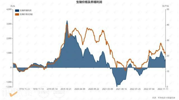 中国养猪网