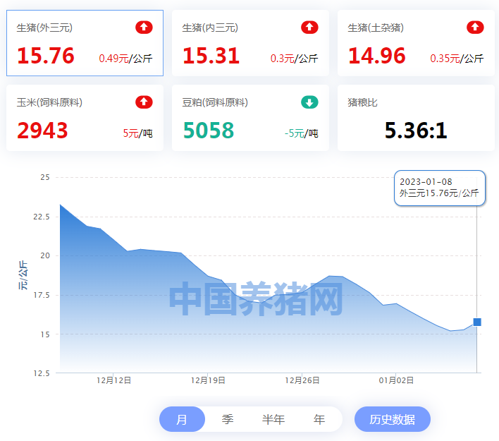 中国养猪网